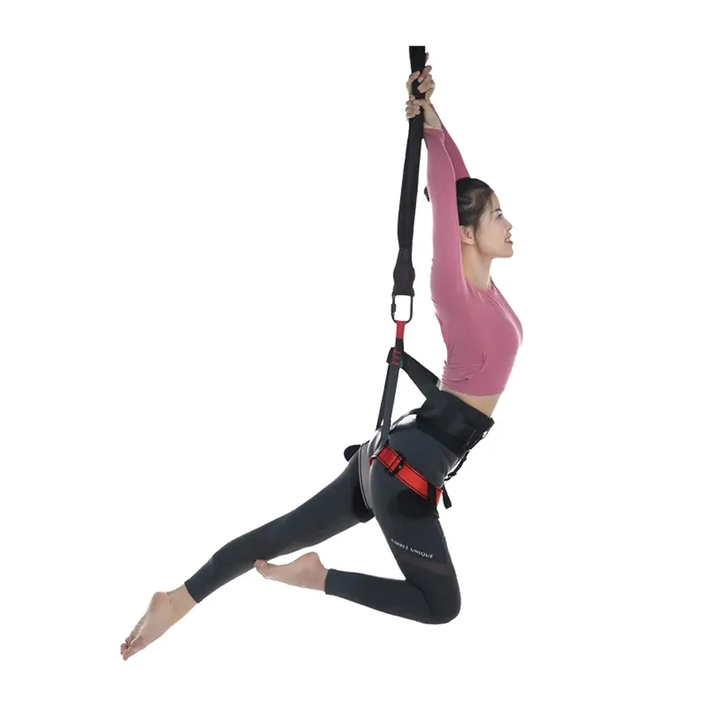 Aerial Yoga Cord Kit Pilates E - Pilates Yoga Aerial のレビューと価格
