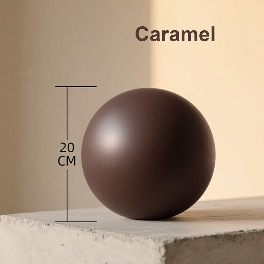 20cm Matte Exercise Ball Barre - Pilates Yoga And Barre のレビューと価格