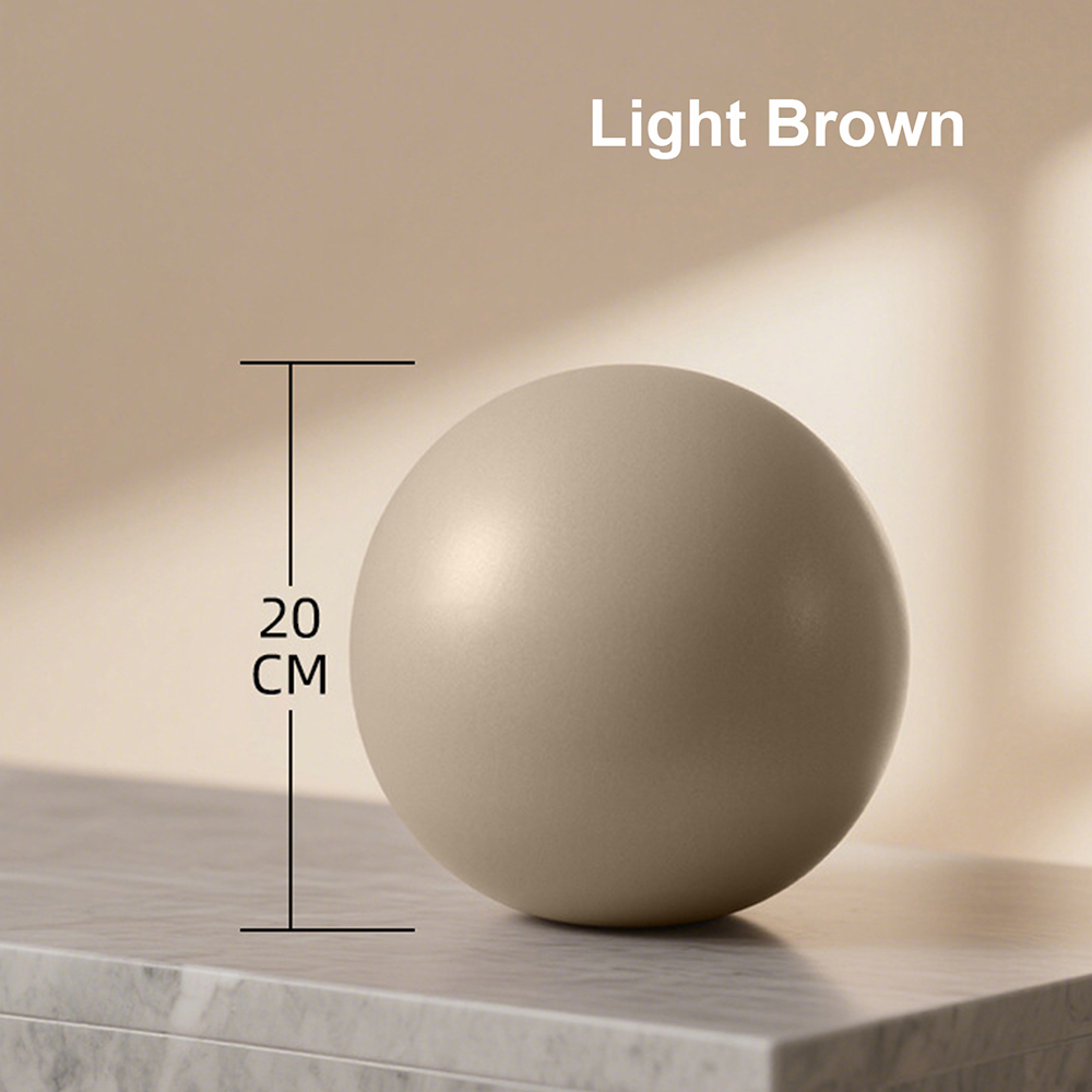 20cm Matte Exercise Ball Barre - Pilates Yoga And Barre のレビューと価格