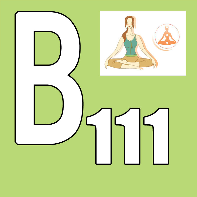 Hot Sale Latest Release 2026.Q - Pilates Yoga Taichi のレビューと価格